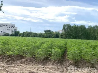 Продажа Участок в Mueang Chon Buri, Чонбури