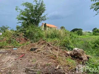 Продажа Участок в Sai Noi, Нонтабури