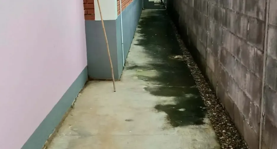 Casa en venta de 3 habitaciones en Mae Rim, Chiang Mai