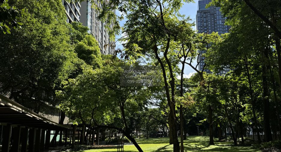 For rent 1 bed condo in Chatuchak, Bangkok