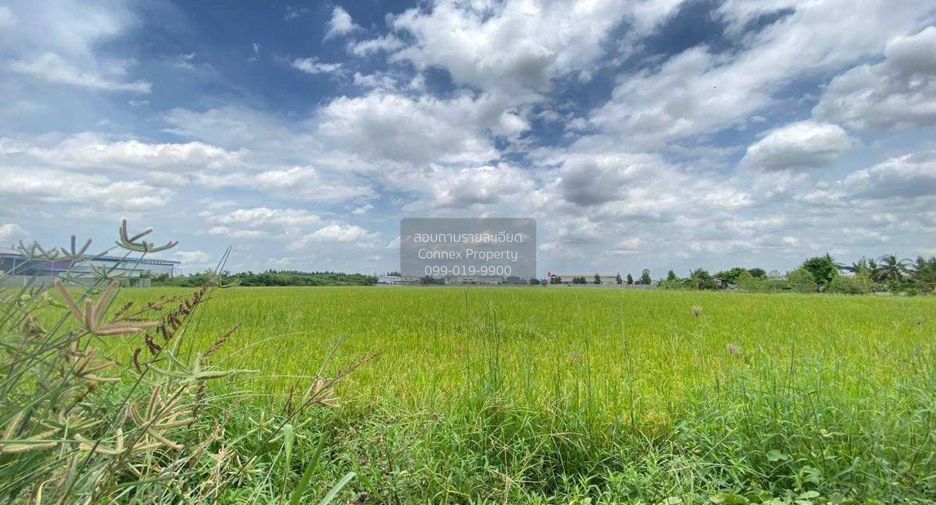 For sale 1 bed land in Sam Khok, Pathum Thani