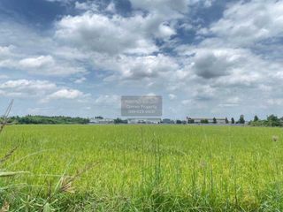Продажа 1 кровать Участок в Sam Khok, Патумтани