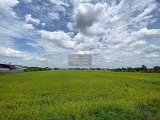 Продажа 1 кровать Участок в Sam Khok, Патумтани