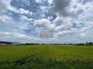 Продажа 1 кровать Участок в Sam Khok, Патумтани