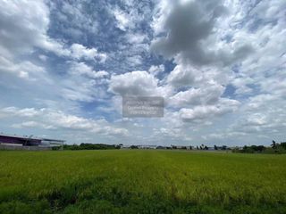Продажа 1 кровать Участок в Sam Khok, Патумтани