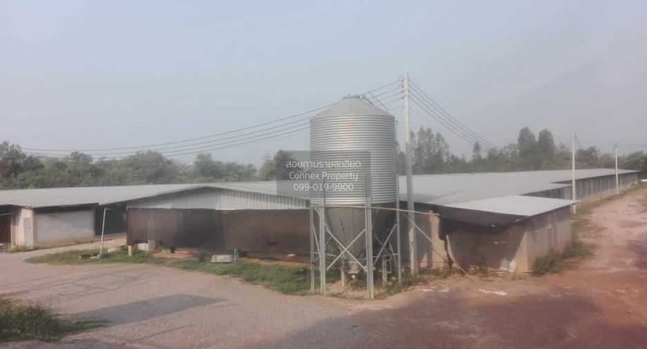 Продажа 5 спальни дом в Hang Chat, Lampang
