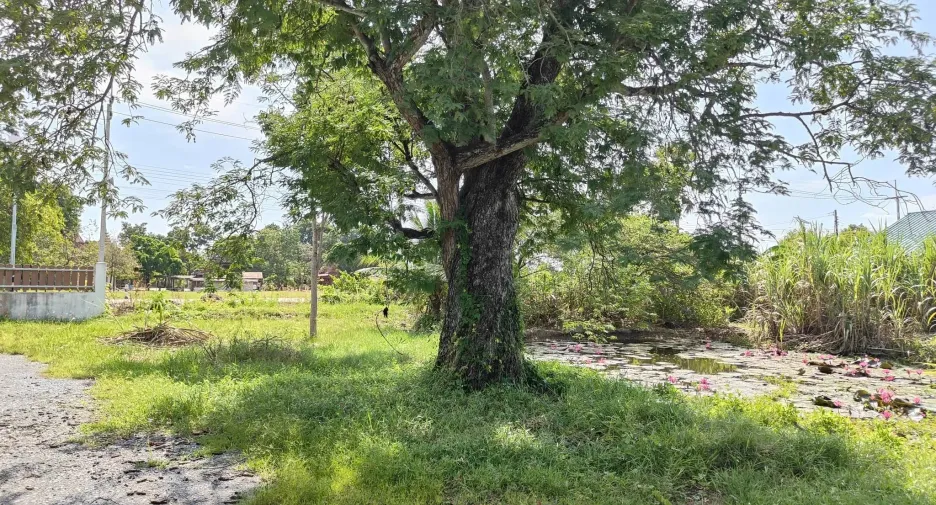 Продажа 3 спальни дом в Nakhon Chai Si, Накхонпатхом