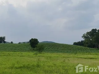 Продажа Участок в Muak Lek, Saraburi