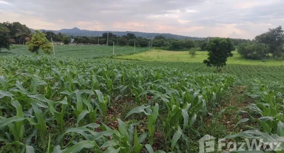 Продажа Участок в Muak Lek, Saraburi