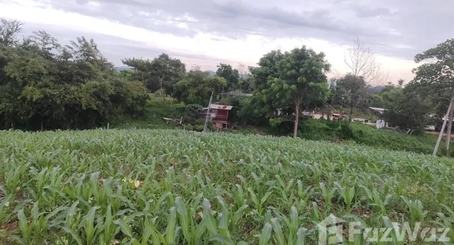 Продажа Участок в Muak Lek, Saraburi
