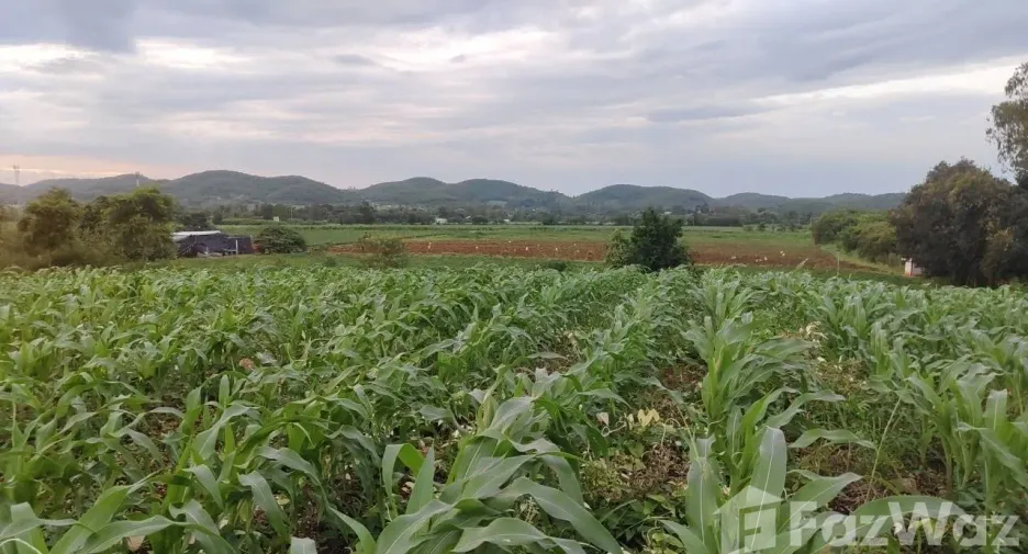 Продажа Участок в Muak Lek, Saraburi