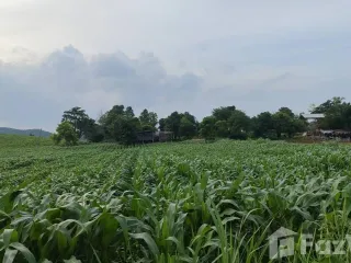Продажа Участок в Muak Lek, Saraburi