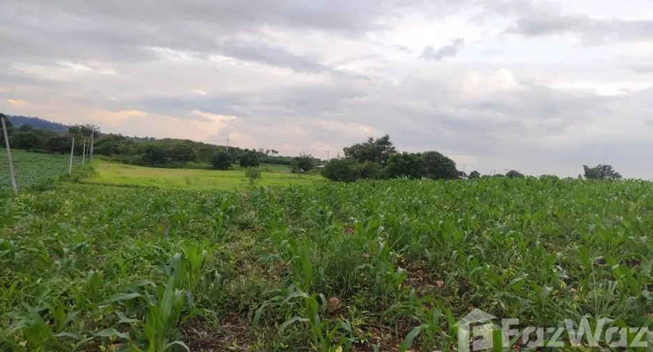 Продажа Участок в Muak Lek, Saraburi