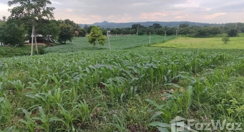 Продажа Участок в Muak Lek, Saraburi