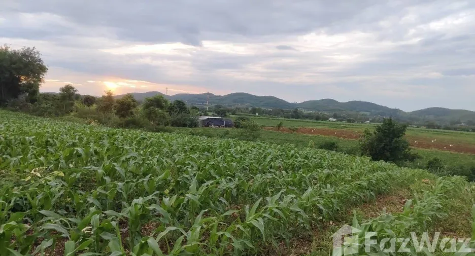 Продажа Участок в Muak Lek, Saraburi