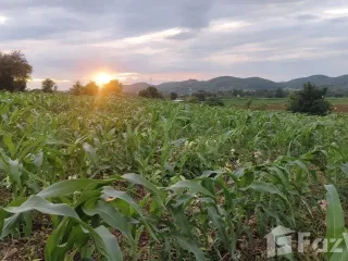 Продажа Участок в Muak Lek, Saraburi