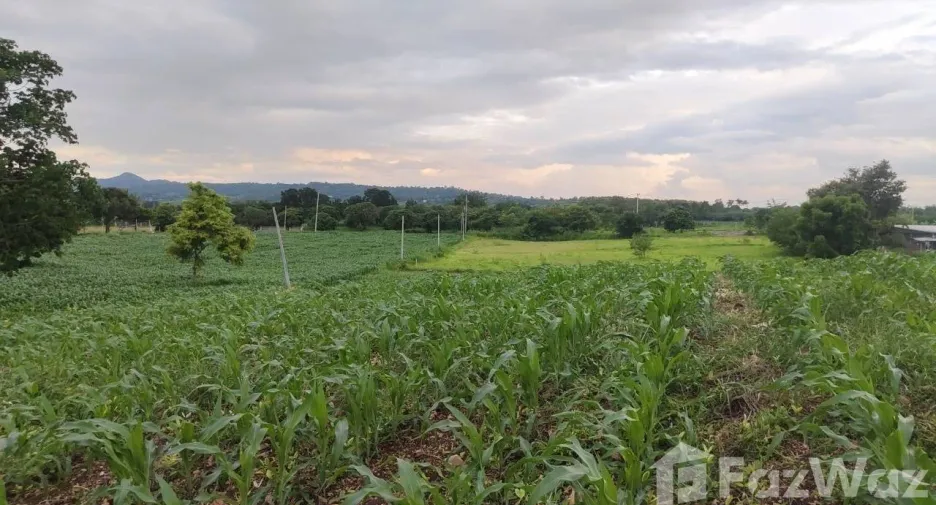 Продажа Участок в Muak Lek, Saraburi