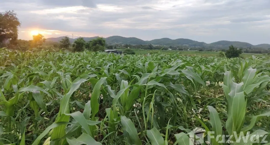 Продажа Участок в Muak Lek, Saraburi