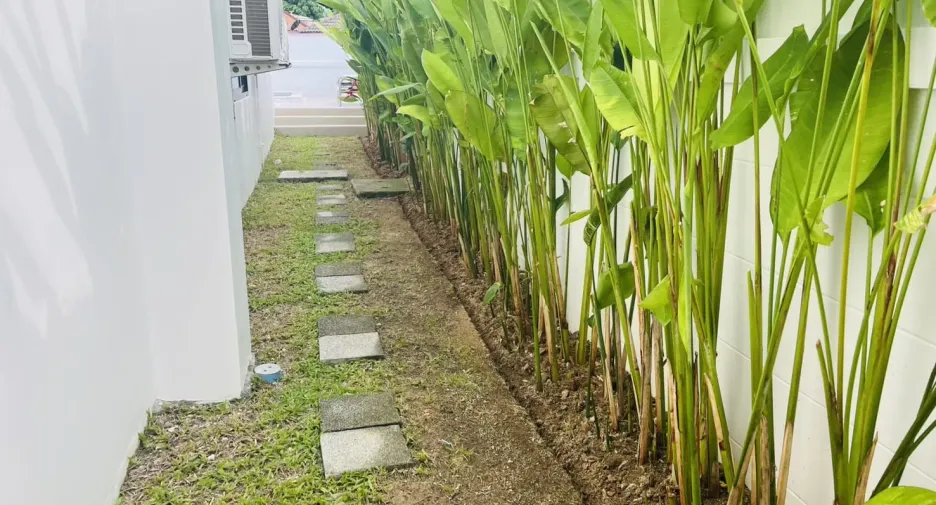 出售 和 出租 3 卧室 别墅 在 Phuket Town, 普吉