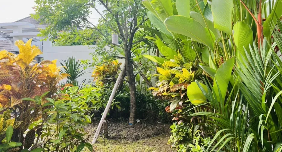 出售 和 出租 3 卧室 别墅 在 Phuket Town, 普吉