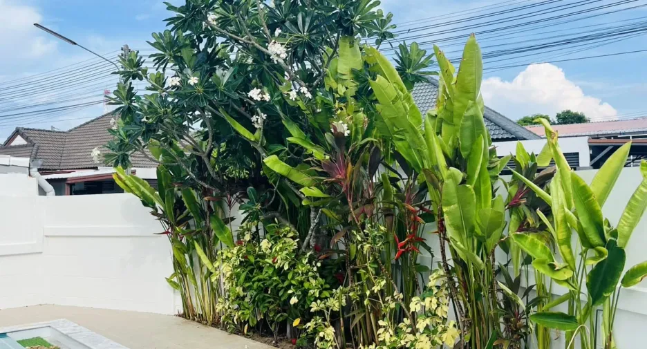 出售 和 出租 3 卧室 别墅 在 Phuket Town, 普吉