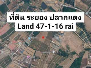 Продажа Участок в Pluak Daeng, Районг