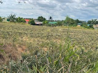 Продажа Участок в Pluak Daeng, Районг