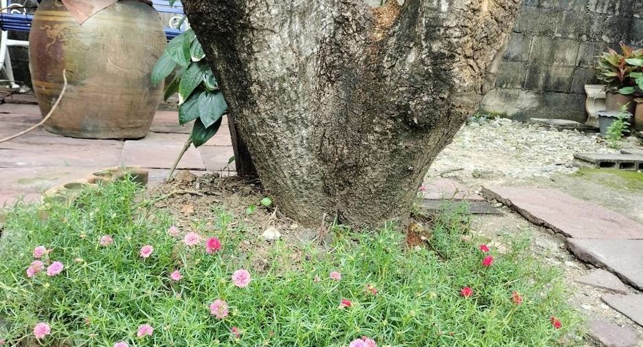 For sale 2 bedrooms house in Phasi Charoen, Bangkok