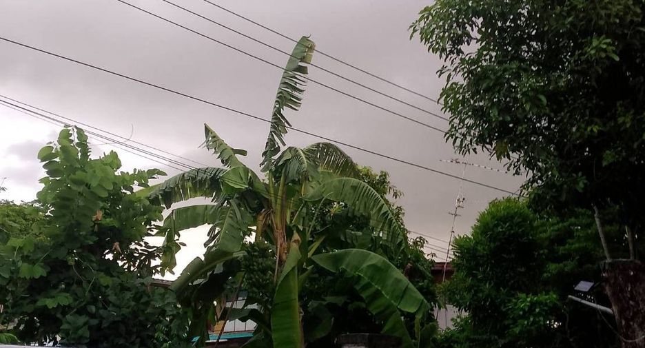 For sale 2 bedrooms house in Phasi Charoen, Bangkok