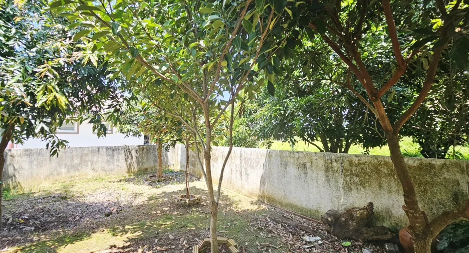 出租 2 卧室 独立屋 在 Mueang Chiang Rai, Chiang Rai