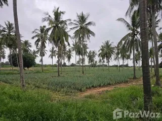 Продажа Участок в Pran Buri, Прачуапкхирикхан