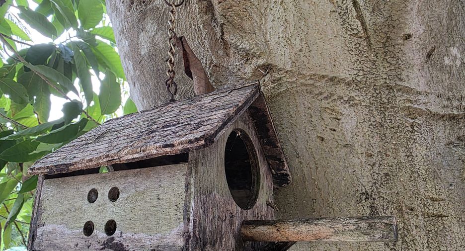 Haus zur Miete mit 2 Zimmer in Kathu, Phuket