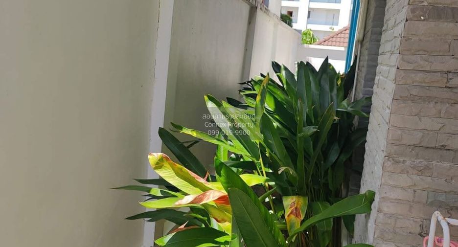 For rent 3 bedrooms villa in Mueang Phuket, Phuket