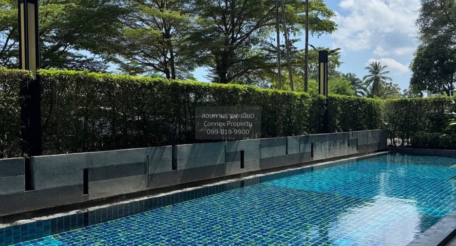 Wohnung zur Miete mit 1 Zimmer in Mueang Phuket, Phuket