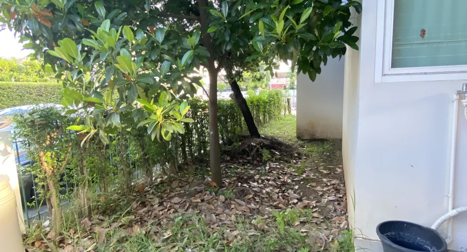Haus zum Kauf und zur Miete mit 3 Zimmer in Mueang Chiang Mai, Chiang Mai