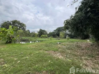 出售 土地 在 San Pa Tong, Chiang Mai