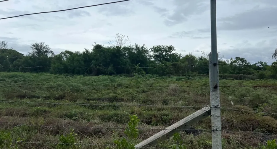 出售 土地 在 San Pa Tong, Chiang Mai