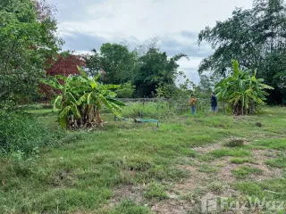 出售 土地 在 San Pa Tong, Chiang Mai
