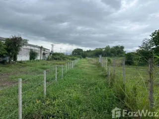 出售 土地 在 San Pa Tong, Chiang Mai