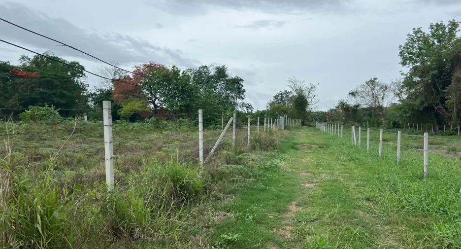 出售 土地 在 San Pa Tong, Chiang Mai