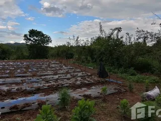 For sale land in Mueang Chiang Rai, Chiang Rai