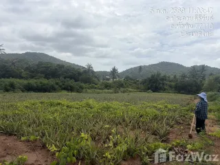 出售 土地 在 华欣, 班武里府