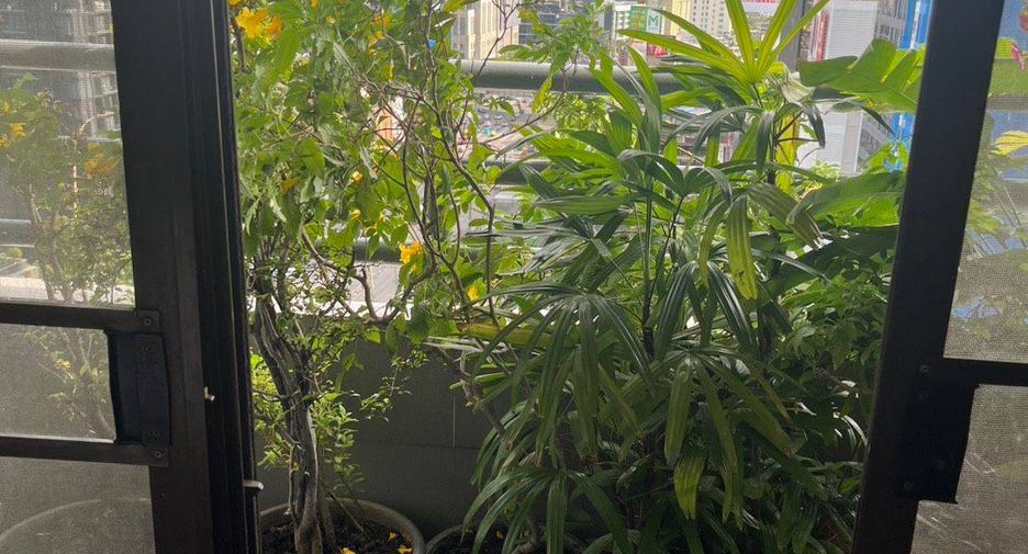 For sale 4 bedrooms condo in Khlong Toei, Bangkok