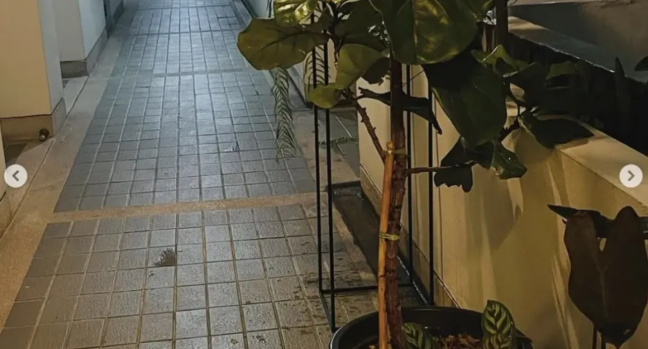 Wohnung zum Kauf mit Studio in Rat Burana, Bangkok