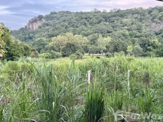 出售 土地 在 华欣, 班武里府