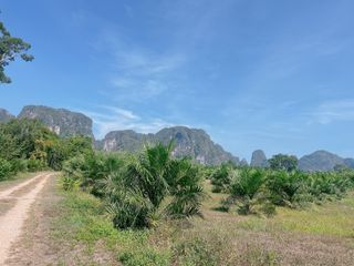 出售 土地 在 Mueang Krabi, Krabi