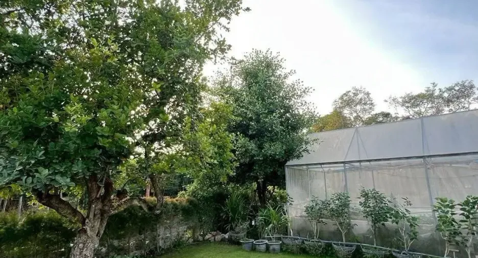Villa en venta de 3 habitaciones en Pak Chong, Nakhon Ratchasima