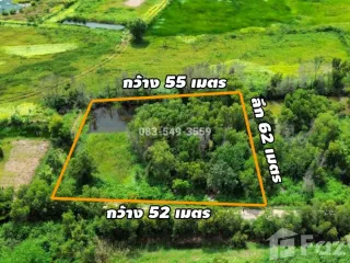 For sale land in Wang Noi, Phra Nakhon Si Ayutthaya