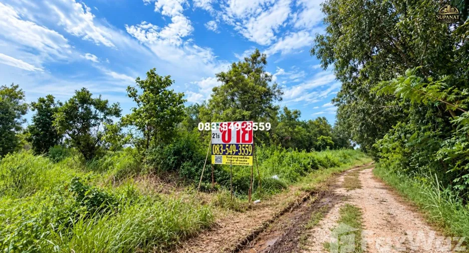 For sale land in Wang Noi, Phra Nakhon Si Ayutthaya