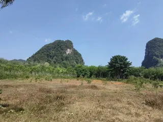 ขาย ที่ดิน ใน เมืองกระบี่, กระบี่